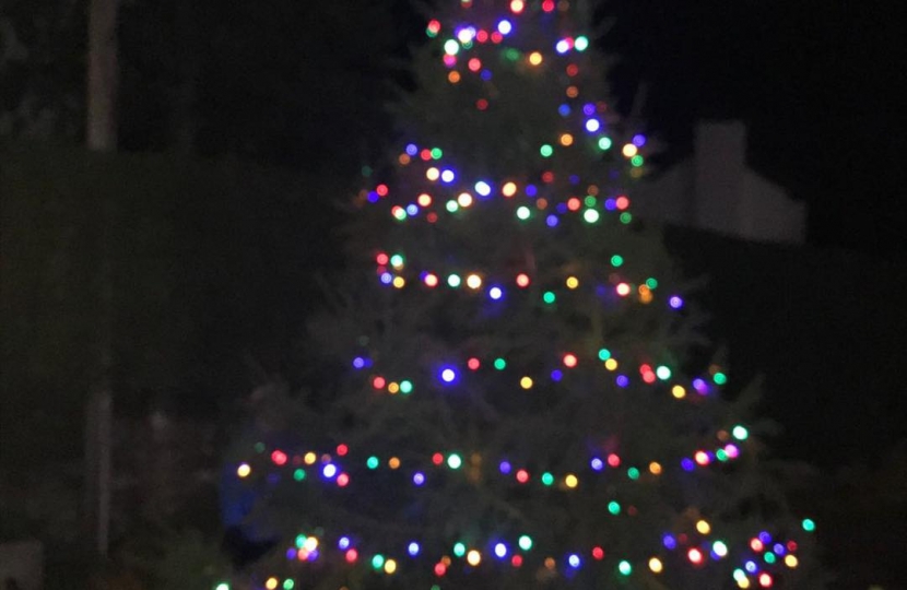 Gedling village Christmas tree