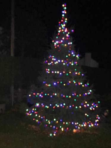 Gedling village Christmas tree